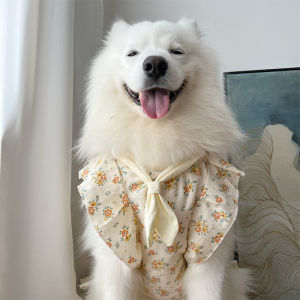 Dog Clothes 2023 New Arrival Dog Clothes Large Medium and Small Dogs Samo Husky Floral Skirt Princess Style Dog