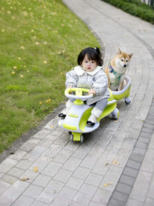 COOGHI | Anti-Tip Dual-seater Baby Glider