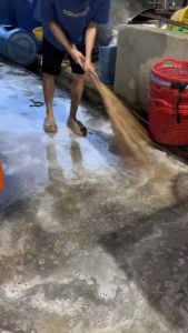 Bột tẩy rong rêu loại 1kg