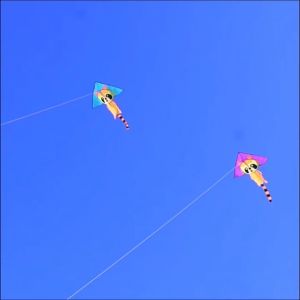 ว่าว ว่าวแรคคูน 1.4 เมตร หางยาวน่ารัก พร้อมส่งจากไทย