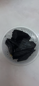 Bioactive Terrarium Cleanup Culture Starter for Vivarium & Humidity Ecosystem