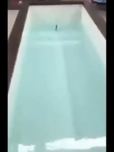 5pcs Fishing Bait Cluster Lure Soft Bait 3D Eyes Head Tail Wobbler Simulation Fishing Bait Sea Bass Fishing Accessories