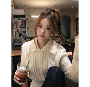 YUEZHONGWEI | French Cable Knit Pull-over Sweater