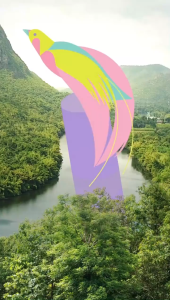 Sariayu Color Trend Lip Shine 4.5 gr