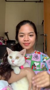 Luscious 50pcs Gentle Paws Pet Dental Wipes Toothbrush and Toothpaste For Dogs and Cats Cleaning