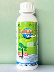 Lumina 200ml pha 200 lít Sạch bệnh sáng bông xanh lá