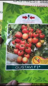 Benih TOMAT GUSTAVI F1 Isi 1750 Butir Bibit Sayuran Buah Cap PANAH MERAH
