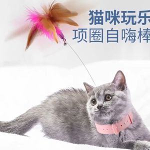 ไม้ตกแมว ของเล่นแมว ไม้ล่อแมว ปลอกคอติดแมวตลก ขอเล่นแมว ปลอกคอสัตว์เลี้ยง ปลอกคอแมว แท่งแมวตลก ของเล่นแมวน่ารัก ไม้ตกแมวขนนก