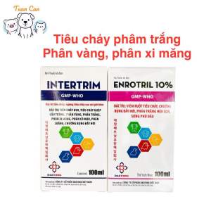 Cặp Enro Tril 10% + Intertrim Tiêu chảy ghép phân vàng phân trắng phân xi măng dùng trong Thú Y
