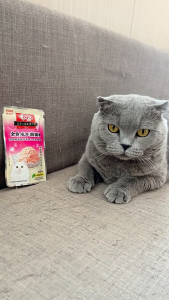 CIAO Cat Wet Food 60g Tersedia 6 rasa Adult & Kitten All Life Stage Cat Snacks makanan ringan kucing Tuna/Salmon/Anchovies/Crab Meat/Scallops/Chicken Breast