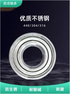 Stainless Steel Waterproof Bearing S6002ZZ Deep Groove Ball Bearing Single Row Precision P0 C0 Gap Corrosion Resistant Wearable
