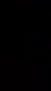 ADVANCE - Double Mic Wireless Recharger Gold Microphone (MIC-207)