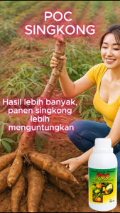 POC Singkong Cair / PUPUK ORGANIK CAIR UNTUK Singkong Pembesar Umbi / Pupuk Singkong CEPAT BESAR