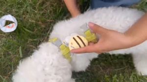 สายจูงเสื้อผ้าเบราว์เซอร์สายจูง สายจูงแมวรัดอก สายจูงกระต่าย จูงหมา สําหรับสัตว์เลี้ยง สุนัข แมว กระต่าย ขนาดเล็ก เสื้อจูงแมว HZMPS0085