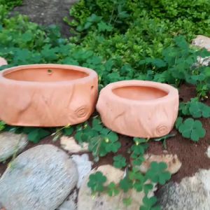 Chậu Trồng Cây Gốm Sứ - Chậu Trồng Bonsai - Chậu Trồng Cây MiNi – Chậu Trồng Cây Sen Đá