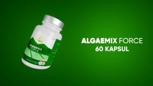 Algaemix Force Ekstrak Spirulina Menjaga Kesehatan Ginjal Mengatasi Diabeter Kadar Gula Tinggi
