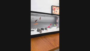 Fish tank with filter silent water pump and three-color lighting large space aquarium