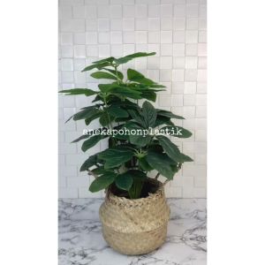 Pohon Hias Tanaman Daun Anubias X18 Semilatex Artificial Cover Purun Belly Pajangan Hiasan Dekorasi Ruang Kantor Aesthetic