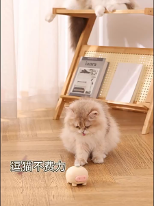 đồ chơi cho mèo - đồ chơi hình heo bắt bướm - đồ chơi giảm căng thẳng dành cho mèo - T3 PETS SHOP