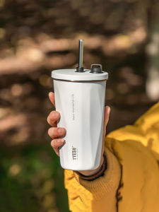 TYESO | Large Capacity Aesthetic Stainless Steel Insulated Mug with Straw