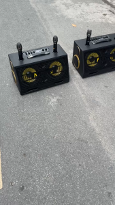 Loa Karaoke S15 8 Đường Tiếng 650W – 2 Bass 20 Trung Rõ Treble Kèn Sáng Kèm 2 Micro Pin AA