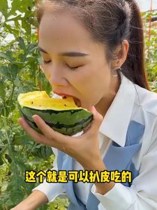 (20 Seeds) Super Sweet Juicy Yellow Watermelon Seeds