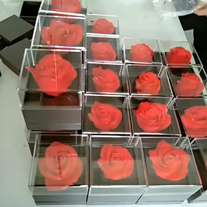 Valentines Day Rose Flower Jewelry Gift Box With Paper Bag for Girlfriend