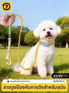 7o | Dog Leash Anti-Burst Pet Training Rope