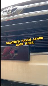 GRATIS Shampoo Wax 1 Sachet: Pembersih Jamur Body Mobil Motor & Water Spot Remover