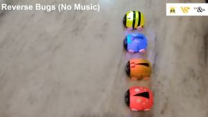 Lady Bug / Beetle Children Toys Mainan Budak Comel