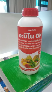 ซื้อ 2 แถม 1 อะมิโนOK สูตรเข้มข้นเร่งการเจริญเติบโต เพิ่มผลผลิตช่วยสังเคราะห์แสง ปุ๋ยทางใบ ปุ๋ยฉีดพ่นทางใบ ฮอร์โมนปุ๋ยทุเรียน