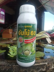 เร่งห่อ ซุปเปอร์จัมโบ้60 สำหรับกะหล่ำปลีและผักกาดขาวปลี 1000ซีซีสินค้าพน้อมส่ง