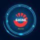 ShineElectric 