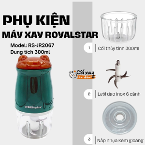 Phụ kiện thay thế tương thích máy xay Royalstar RS-JR2067 dung tích 300mL
