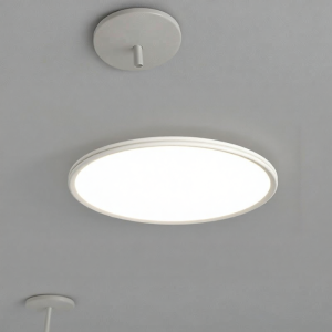 HUANGJIANG | Full Spectrum Eye-Protective Living Room Light Round Ceiling Light