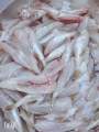 Cá Đùi Gà ( cá nóc ) khô, đặc sản miền Trung. 