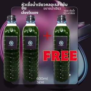 หัวเขื้อน้ำเขียวสาหร่ายคลอเรล่า 600ml.2ขวด ฟรี1ขวด