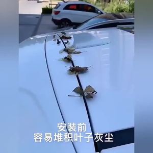 Universal Car Auto Trunk Lid Gap Seal Strip Accessori Waterproof Rubber Hood Gap Filler Auto Engine Cover Seal Strip