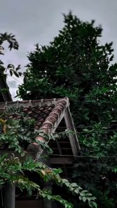 SKOTLET STIKER MOTOR ABU LEMBAYUNG UNGU SCOTLITE GREY VIOLET MAGIC CANDY SKOTLET ABU LEMBAYUNG