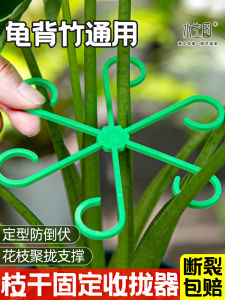 Garden Art Plant Support Rods Fixed Butterfly Orchid Stabilizer Green Plant Anti- Bamboo Turtle Back Flower Stand Fixer