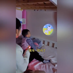 Baby Sleeping Light Toy Kids Flashlight Projector Torch Luminous Cartoon Animal Projection Lamp Mainan Awal