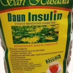 Daun Insulin - Efektif Atasi Diabetes / Kencing Manis / Jamu Godog kencing Manis / Jamu Godok Herbal Tradisional Daun Insulin Murni