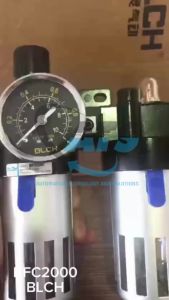 Bộ lọc khí nén đôi BLCH BFC2000