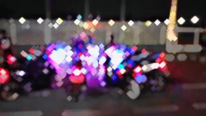 2PCS LAMPU ALIS MOTOR 30CM NON BINTIK