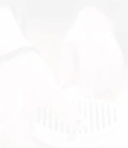 แปรงหวีขน หวีขนสุนัข แปรงหวีขนแมว หวีขนหมา แปรงสัตว์เลี้ยง ที่แปรงขนสูง 20cm-30cm 20cm-40cm 20cm-50cm 20cm-60cm 25cm-40cm