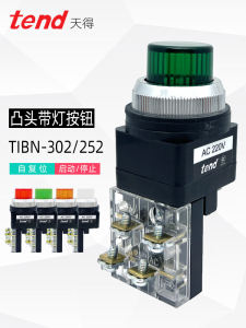 TEND Tibn-25-30mm Button Switch with Light Power on Reset Green Illumination Head 220V Voltage Rating 6A Current Rating