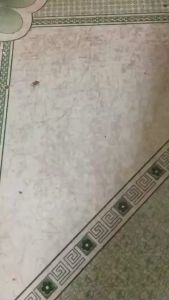 Chất tẩy vết ố vàng trên gạch men tẩy vết đất đỏ trên gạch men tẩy rỉ sét tẩy cặn canxi trên thiết bị vệ sinh bằng inox