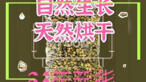 【100g】胎菊罐装 Emperor Chrysanthemum 无硫 清热解毒 安神定志 润肺止咳 抗氧化 Antioxidant detoxification Moistening the lungs