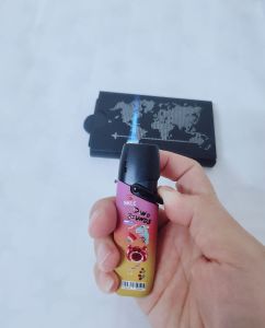 Sk 800 Cute Press Windproof Lighter