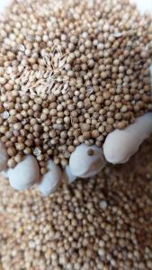 Ketumbar Butir 500 gr Murah\nKetumbar Super 1kg Grade A